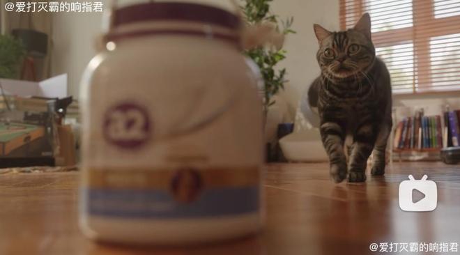 支楞起来的小破站，苦尽甘来？