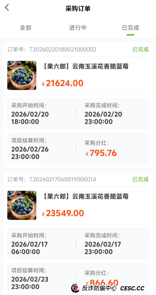 撕开“果六郎”的“人设”：那些晒收益的“车友”，可能全是托！
