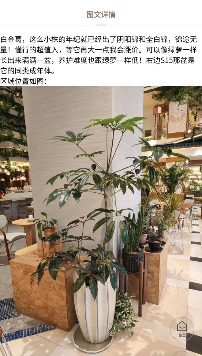 因「增设4个女厕所」被网暴，这家“卫生巾免费自取、创办女子夜校”的商场还在为女性友好做更多？