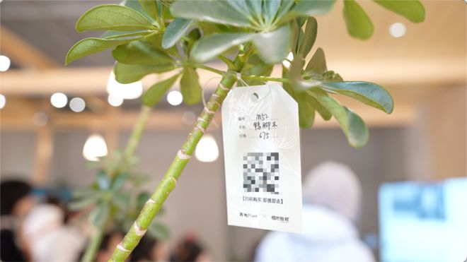 因「增设4个女厕所」被网暴，这家“卫生巾免费自取、创办女子夜校”的商场还在为女性友好做更多？