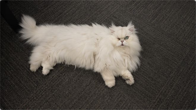 因「增设4个女厕所」被网暴，这家“卫生巾免费自取、创办女子夜校”的商场还在为女性友好做更多？