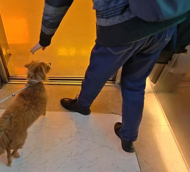 因「增设4个女厕所」被网暴，这家“卫生巾免费自取、创办女子夜校”的商场还在为女性友好做更多？