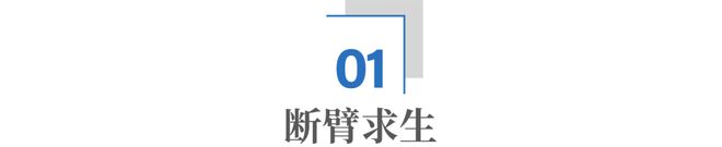 4000亿德国巨头裁员2万人，把未来押在了中国(2)
