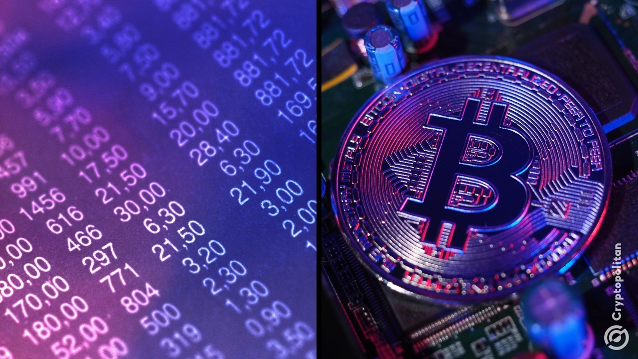 95% 的 BTC 呈上涨趋势，ADA 在大盘代币盈利率方面落后