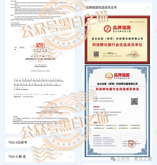 “合众远景TGG-X”量化盘，韭菜不停的被割，摇摇欲坠到现在......(3)