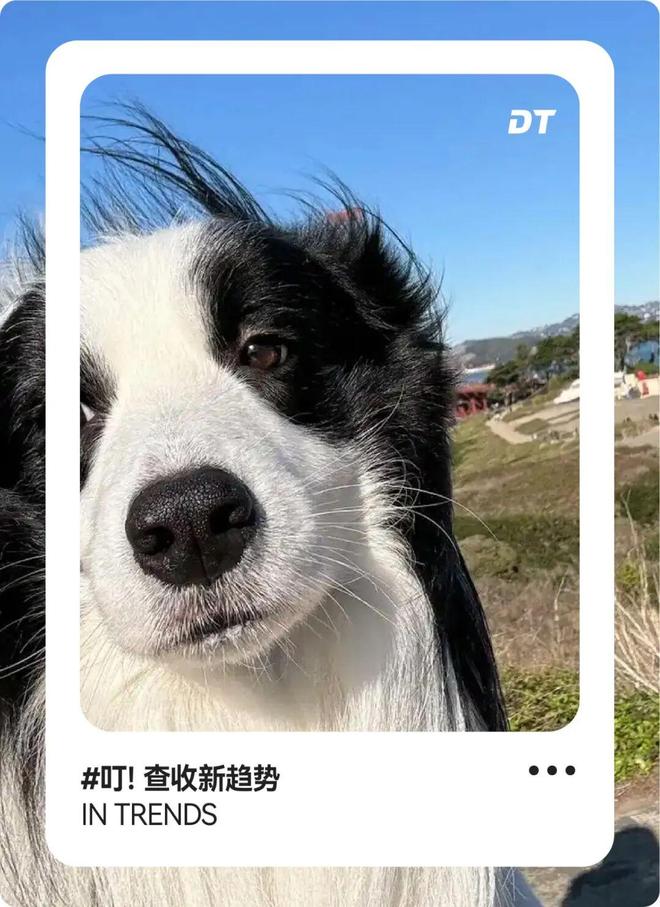 “中年男人专供”,围猎年轻女孩(1) “中年男人专供”,围猎年轻女孩(1)