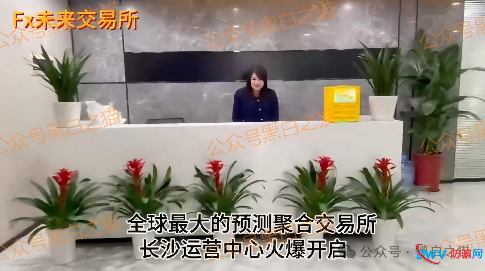 起底FutureX未来交易所骗局：技术外包、国内服务器、无任何合规牌照(5)