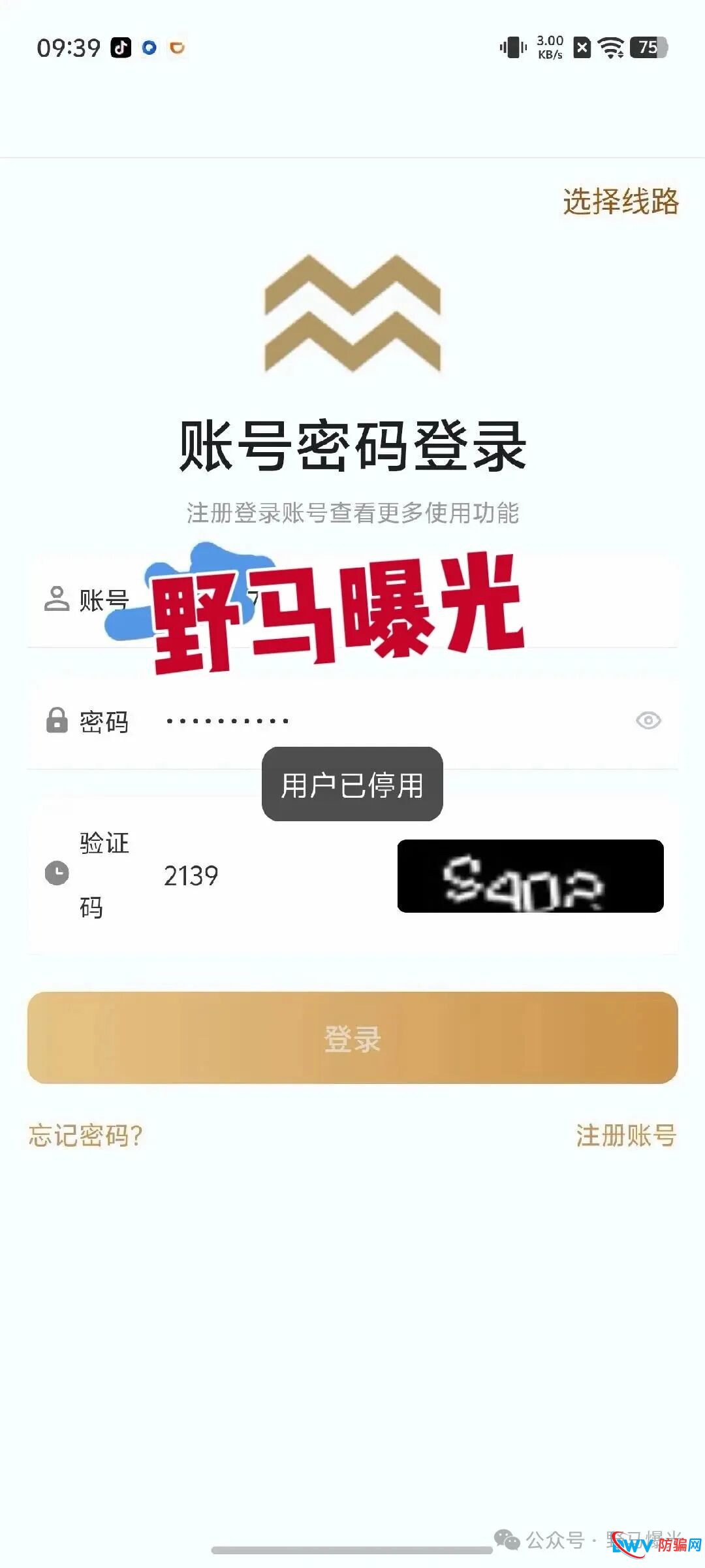 “米拉博”资金盘深度调查：赌徒心理让你血本无归，拉人头者更将面临十年牢狱！(2)