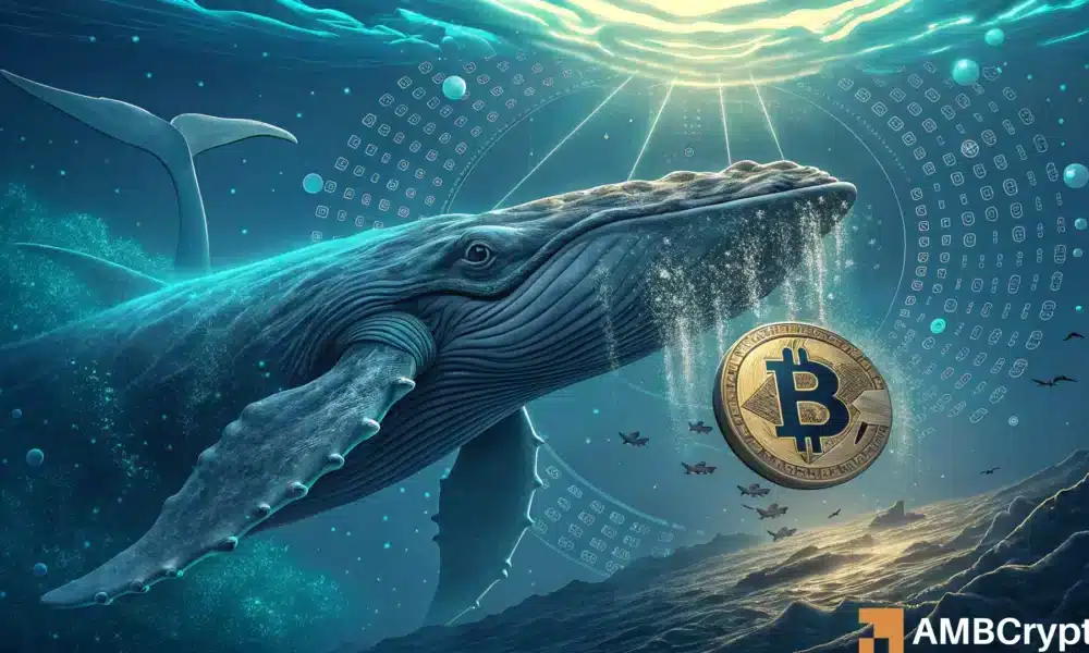 比特币——86.9 亿美元 BTC 交易：为何鲸鱼行为引发质疑？(1)