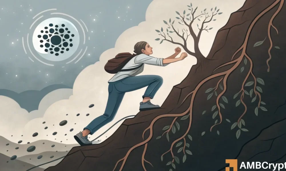 卡尔达诺的价格短期内可能不太可能复苏——原因如下！(1)