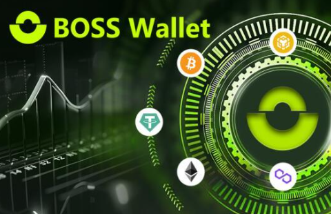 USDT黑市交易频发！Bosswallet反洗钱系统拆解(2)