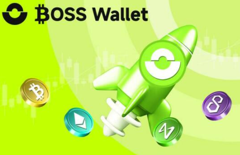 BOSS Wallet钱包实战测评：2025年安全首选(2)