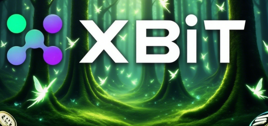 Meme币投资:XBIT如何将寻找下一个SHIB变为系统性狩猎(3) Meme币投资:XBIT如何将寻找下一个SHIB变为系统性狩猎(3)