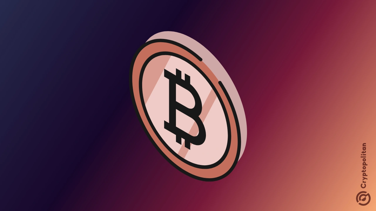 比特币巨鲸转移了价值 86 亿美元的 BTC，可能是为了地址升级，而不是出售。