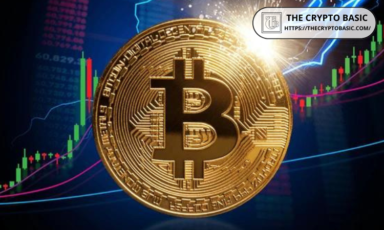专家称比特币价格被低估了 110,000 美元(1)