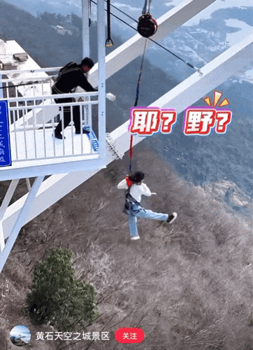 「窝囊旅游三件套」，拯救多少打工人？(13)