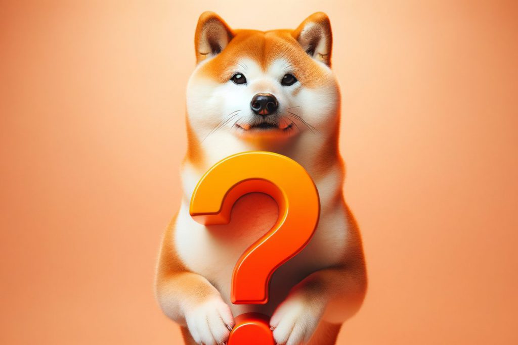 熊市中还持有柴犬吗？以下是你需要知道的事情(2)