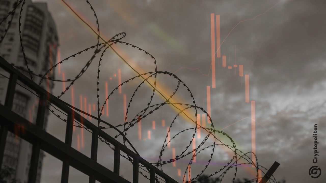 泰国已停业的 AEX 交易所创始人获保释，但闹剧尚未结束(1)