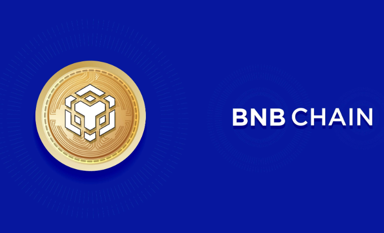 BNB链0 Gas费福利！USDT转账免费时代开启，散户狂喜