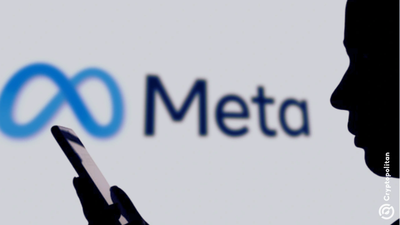 Meta 在拼命的 AI 竞标中错失了 Perplexity