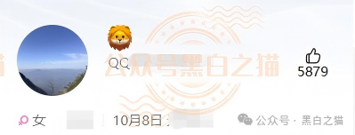 “胜虎”的六位数QQ、“张耀东”的特种兵人设——金河资本狗推团伙大起底!凌晨3点境外邮箱投诉?小编素材库里还躺着两位受害者的完整聊天记录!(4) “胜虎”的六位数QQ、“张耀东”的特种兵人设——金河资本狗推团伙大起底!凌晨3点境外邮箱投诉?小编素材库里还躺着两位受害者的完整聊天记录!(4)