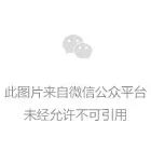 300亿独角兽,补齐上市前的关键一环(2) 300亿独角兽,补齐上市前的关键一环(2)
